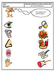 okul öncesi duyu organları çalıma örnekleri